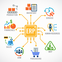 ERP zastreší mnoho odvetví